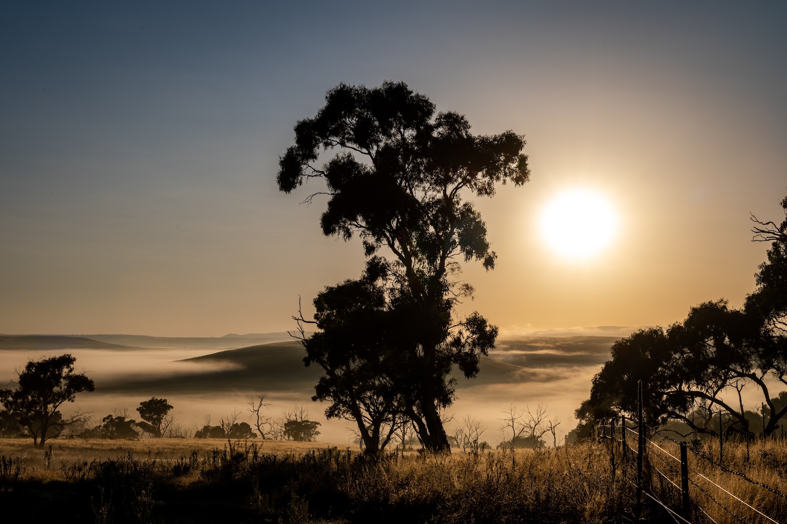 A scenery of the sunrise over a farm with fog on the mountains in Cooma, NSW, Australia